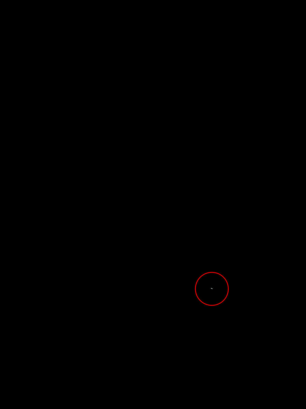 Frame 195
